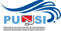 Logo PUWSI