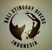 Bali Stingray Divers